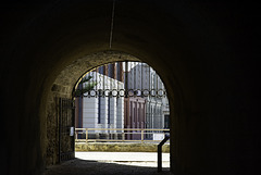 Fremantle Whale Tunnel!?