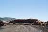 Lakeview OR sawmill (#0088)