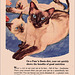 Puss 'N Boots Cat Food Ad, 1953