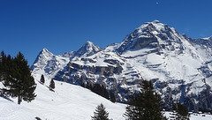Eiger, Mönch, Jungfrau & paraglider