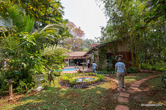 The Alibag home gardens