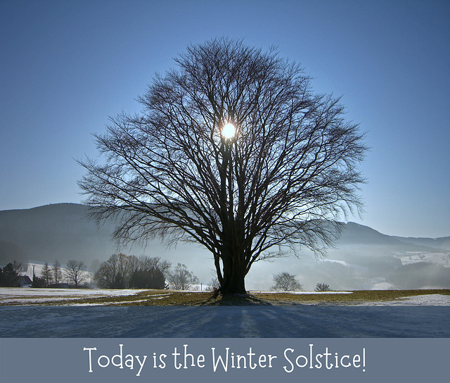 wsc - Winter Solstice [2021]