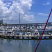 Panoramic look from bayside (HFF)
