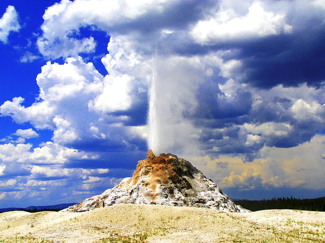 White Dome Geyser - Yellowstone National Park