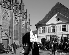 Freiburg, Münster