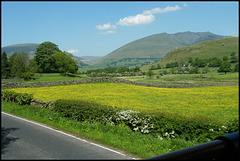Blencathra and Naddle Valley