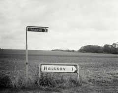 P11-halskov-09-10-2019-c