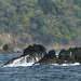 Rocks near Little Tobago island