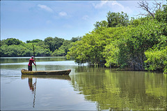 La lagune de Veracruz