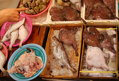 Fischmarkt in Tongyeong