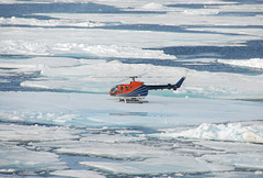 Landung auf einer Eischolle