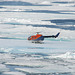 Landung auf einer Eischolle