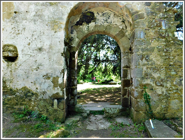 Les ruines de l'ancienne église romane de Saint André des Eaux (22) avec PIP