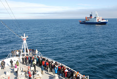 Überraschende Begegnung mit Forschungsschiff "Polarstern" in der Grönlandsee