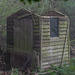 Dilapidated Shed