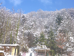 Schnee im Terassen-Garten