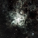 Tarantula nebula NGC2070