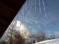First icicles