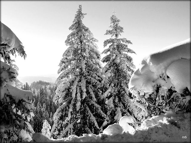 130382582 - Winter Landschaft um 1000 müM im Emmental Schweiz