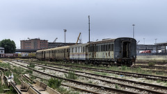 Abandoned Trieste - lost train watched by seagull