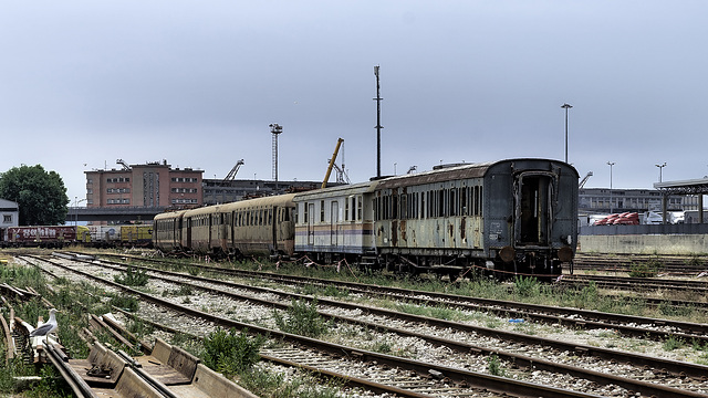 Abandoned Trieste - lost train watched by seagull Abandoned Trieste - lost train watched by seagull