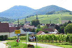 Birkweiler in der Südpfalz