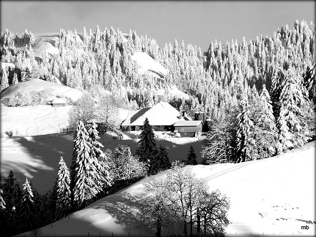 130382559 - Above 36oo ft in the Emmental - Luederenalp!