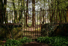Ye Olde rusty gate