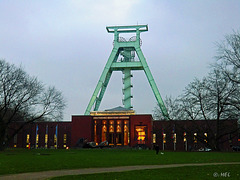 Deutsches Bergbau-Museum, Bochum