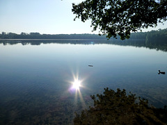 DE - Erftstadt - Liblarer See