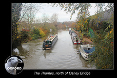 The Thames north of Osney Bridge - Oxford - 18.11.2014