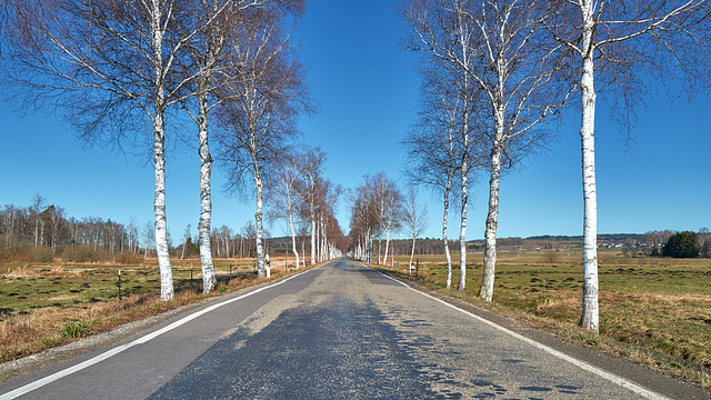Birken Highway