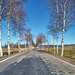 Birken Highway