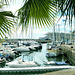 Funchal Hafen. ©UdoSm