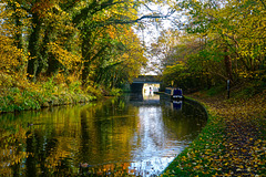 Shropshire Union Canal at Gnosall