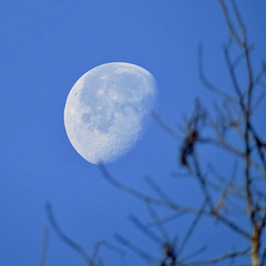 Gibbous moon 22 January 2022