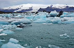 Die Gletscherlagune Jökulsarlon - The Jökulsarlon Glacier Lagoon - mit PiP
