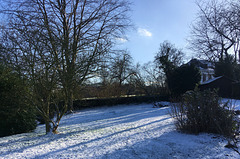 Le jardin sous la neige