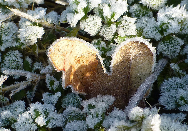 un coeur en hiver