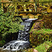 One of the many bridges and waterfalls at Minterne Gardens