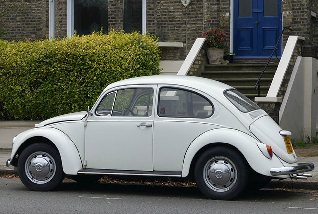 NW3 Beetle (1) - 16 October 2015