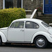 NW3 Beetle (1) - 16 October 2015