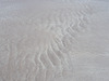 shs - sand ripples