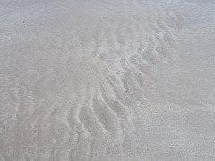 shs - sand ripples