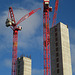 IMG 9005-001-Cranes Over Battersea