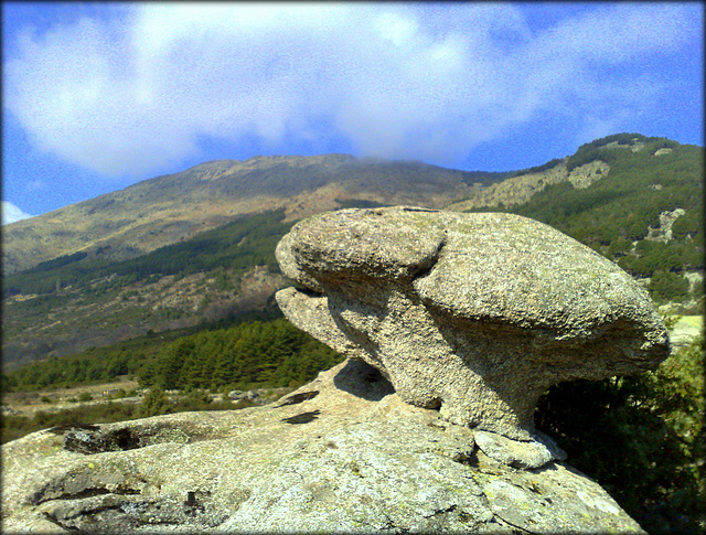 An odd granite rock