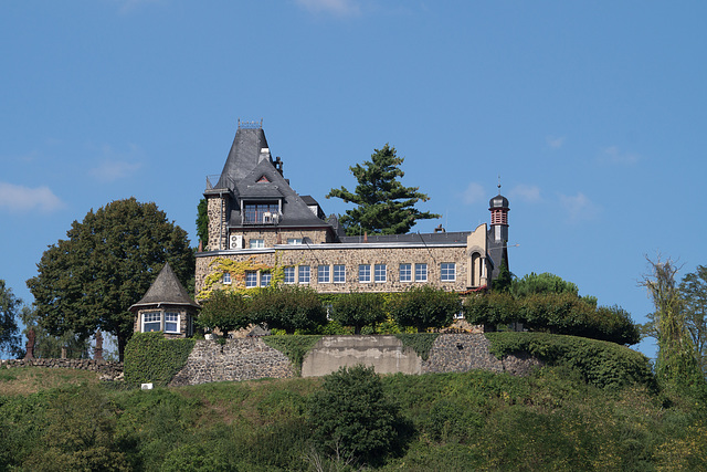 Burg Ockenfels Linz DSC00704