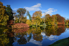Autumn colours at Gosford Estate