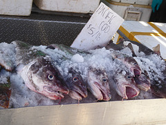 Fischmarkt in Steveston