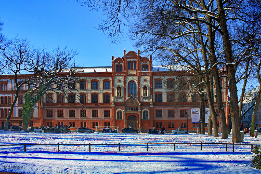 Rostock, Universität